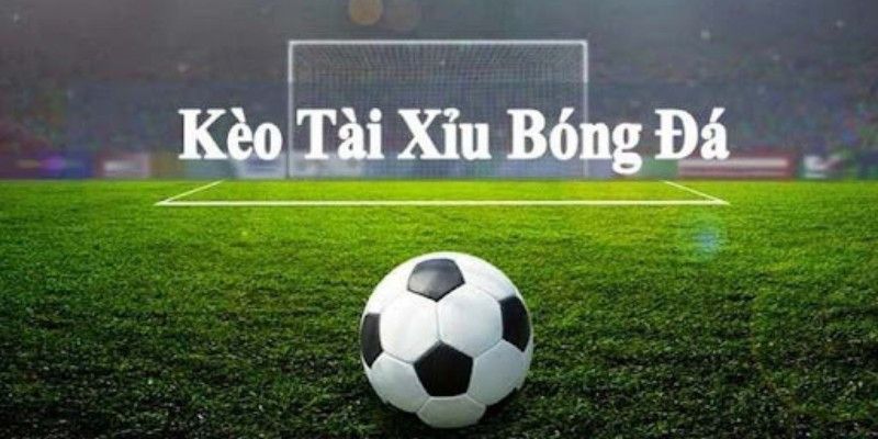 Hướng dẫn cách bắt kèo chuẩn nhất năm 2024