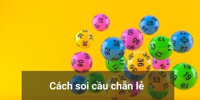 Kinh nghiệm lựa chọn dàn đạt hiệu quả cao