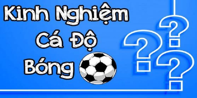 Kinh nghiệm cược bóng đá là gì